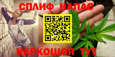 спиды Славгород