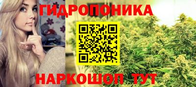 apvp Сланцы