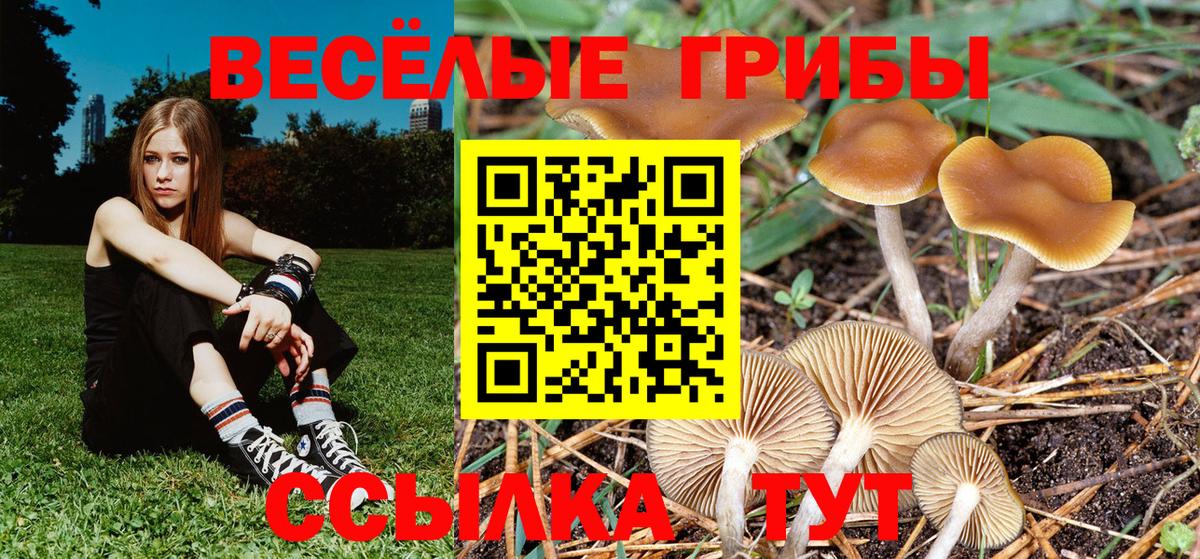 Мариинск  Псилоцибиновые грибы Psilocybine cubensis  где купить   Вход с VPN 